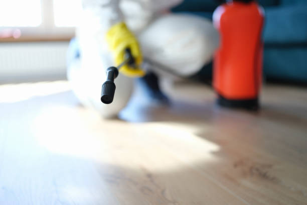 Forensic Mold Investigation in Glandorf, OH